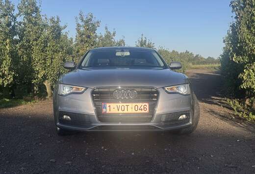 Audi 2.0 TDI Sportback DPF (clean diesel)