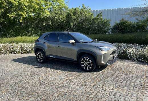 Toyota Dynamic Plus