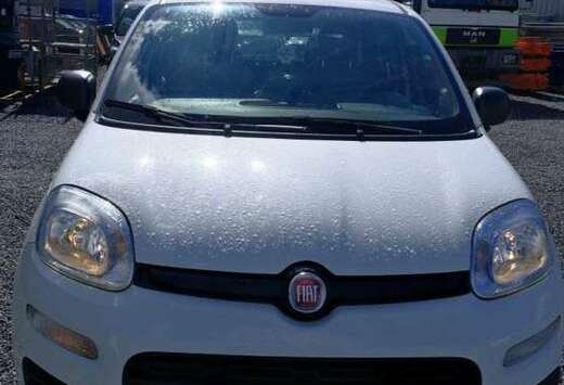 Fiat 1.2 69 ch S/S City Cross