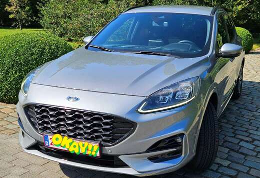 Ford Kuga FHEV 2.5 EcoBoost AWD ST-Line X (EU6d)