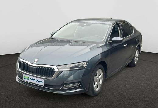 Skoda Clever 1.0 TSI 110ch