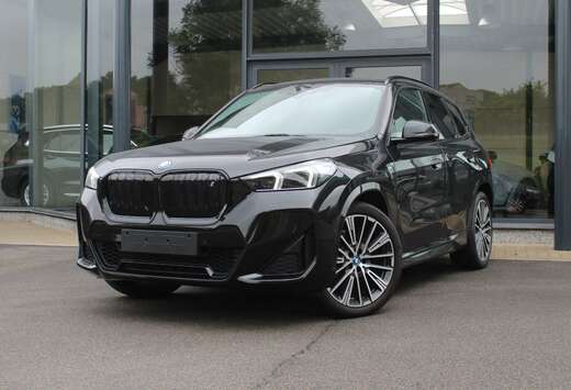 BMW xDrive30 M Sport / INDIVIDUAL / DRIV. PROF. / CAM