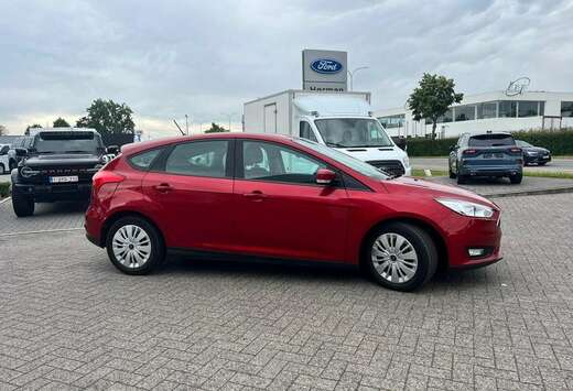 Ford Enkel voor professionele verkoop.