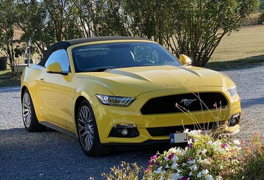 Ford Mustang Cabrio 2.3 Eco Boost