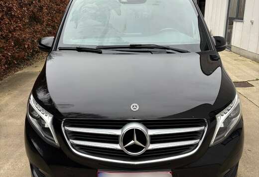 Mercedes-Benz V 250 d L3 extralang Avantgarde-Lichte  ...