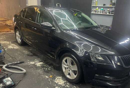 Skoda 1.6 CR TDi Ambition (EU6.2)