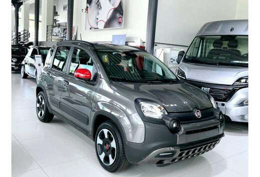 Fiat CROSS RED