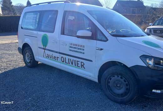 Volkswagen 2.0 CR TDi SCR Maxi (EU6)