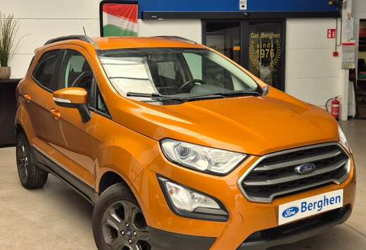 Ford EcoBoost Business Class