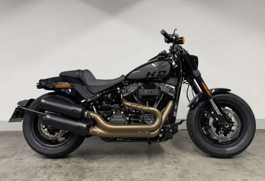 SOFTAIL FXFBS