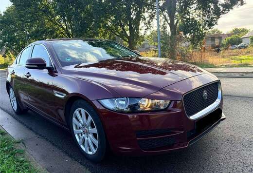 Jaguar 20d AWD Aut. Pure