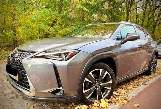 Lexus UX 250h 2.0i AWD Business Line Plus