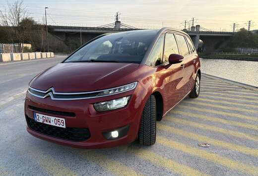 Citroen e-HDi 116 ETG6 Selection Prete a immatriculer