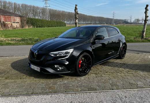 Renault R.S. TROPHY - 300PK- RECARO - PPF - SCORPION