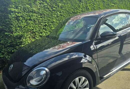 Volkswagen Beetle 1.6 CR TDi Design