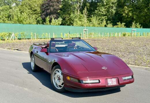 Corvette Corvette C4 1993 - 40th Anniversary - 70 000 ...
