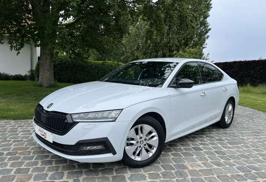 Skoda 1.0 TSI Ambition/1eignr/Carplay/Camera/Led/Crui ...