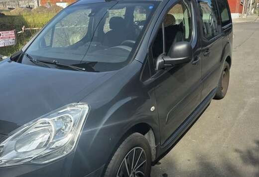 Peugeot Partner Tepee 1.6 BlueHDi Active S