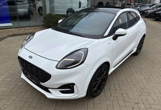 Ford 1.0 125 PK met panodak - afneembare trekhaak / 1 ...