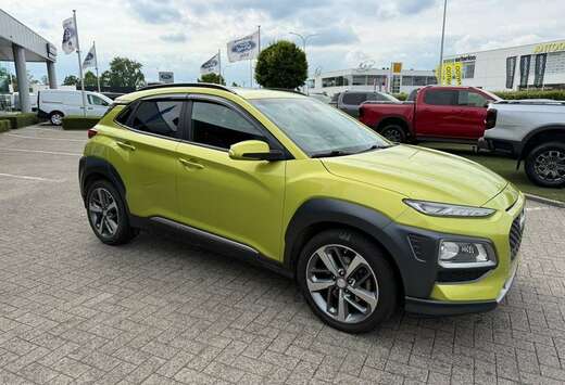 Hyundai Enkel voor professionele verkoop.