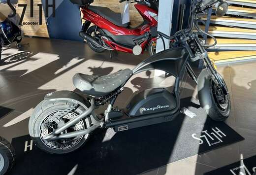 Andere  Mangosteen M1P E-Scooter