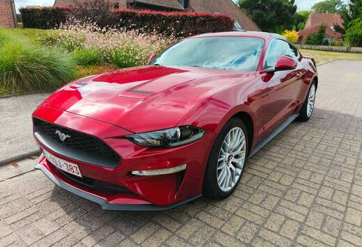 Ford Mustang 2.3 EcoBoost (EU6.2)