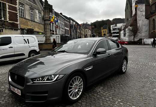 Jaguar XE 2.0 D E-Performance Business Ed.R-Sport