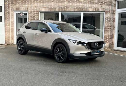 Mazda CX-30 2.0 M-HYBRID HOMURA / 61000km