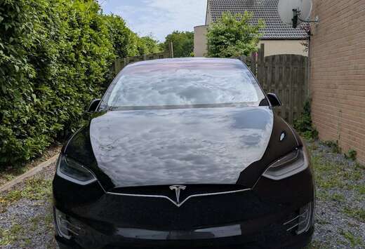 Tesla Tesla Model X  100D Performance 2019