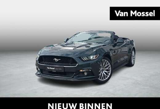 Ford 5.0i V8 Aut. GT