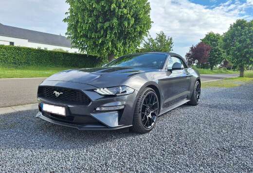 Ford Mustang Convertible 2.3 EcoBoost (EU6.2)
