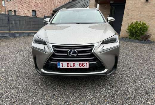 Lexus NX 300h 2.5i AWD Business Edition E-CVT
