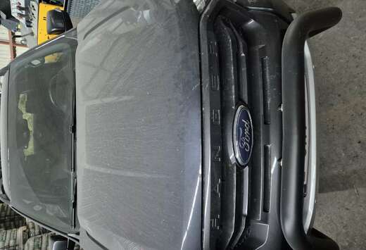 Ford 2.0 BiT EcoBlue Wildtrak (EU6.2)