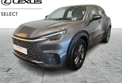 Lexus Base