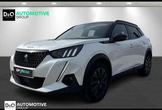 Peugeot GT LINE  LEDER  PANODAK