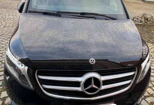 Mercedes-Benz V 250 d 4-Matic MWB Avantgarde
