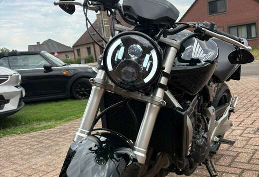 Honda Hornet