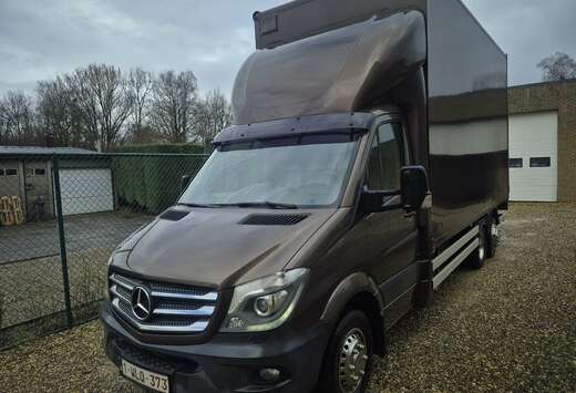 Mercedes-Benz Sprinter 319 3.0 BlueTEC BE V6 A1 7G-tr ...