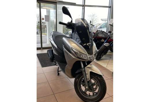 SXR 50 S
