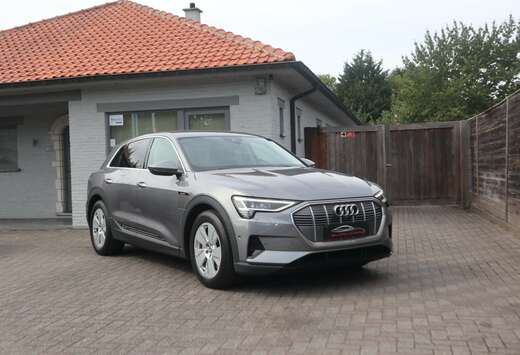 Audi 71 kWh 50 Quattro /1 ste eig /leder/360/MEMORY