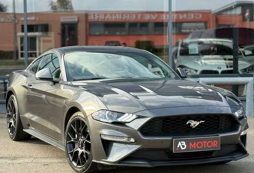 Ford 2.3 EcoBoost 290CV ACC COCKPIT GPS CAMERA LED FU ...