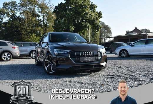 Audi 95 KWH / 55 QUATTRO / SCHUIFDAK / CARPLAY / CAME ...