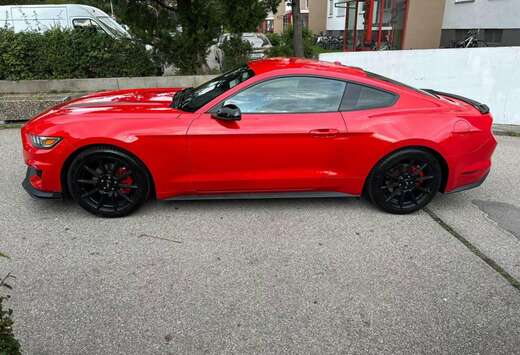 Ford 2.3 Eco Boost Aut.