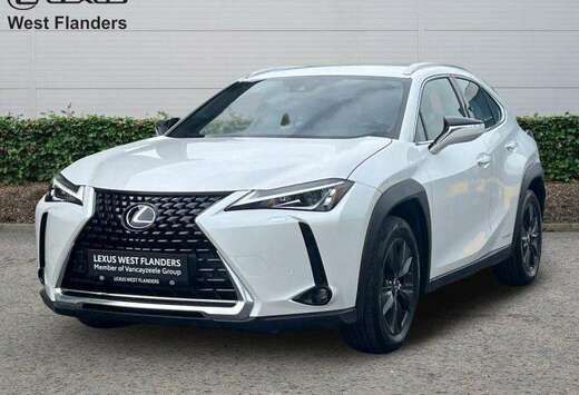 Lexus Business Line Plus