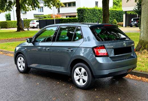 Skoda 1.0 TSI Ultimate Clever - 1ste Eigenaar