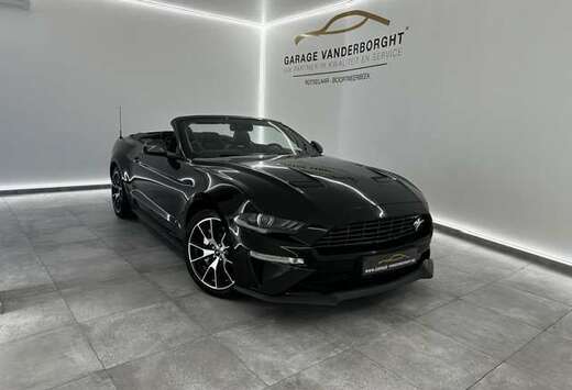 Ford CONVERTIBLE 2.3I 55 YEARS EDITION  36000KM