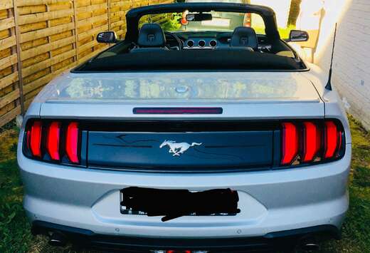 Ford Mustang Convertible 2.3 EcoBoost