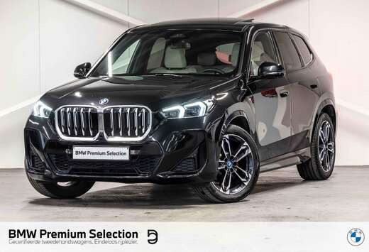 BMW xDrive30 M Sport  PANO  H&K