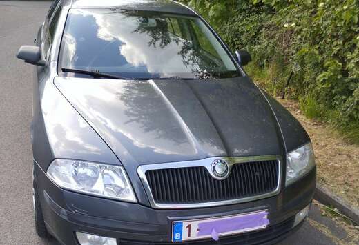 Skoda 1.6i 102 Ambiente
