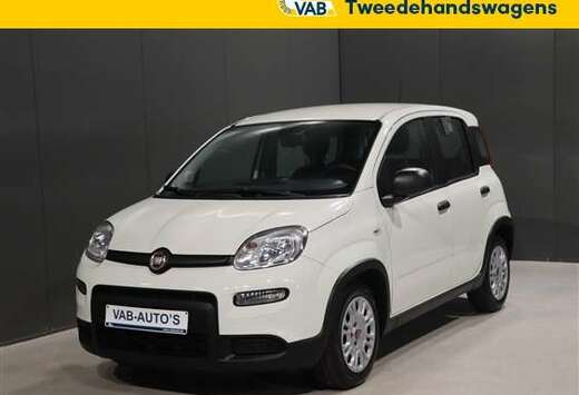 Fiat EASY HYBRID AIRCO CARPLAY DAB